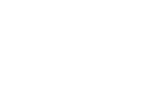 VIVIDVISION